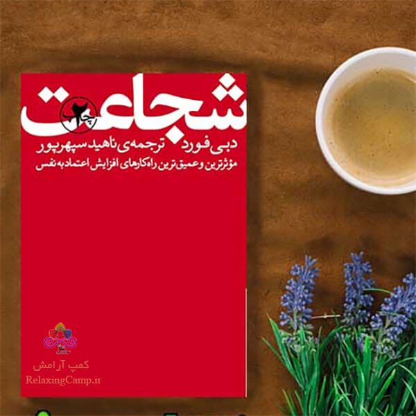 معرفی کتاب شجاعت اثر دبی فورد