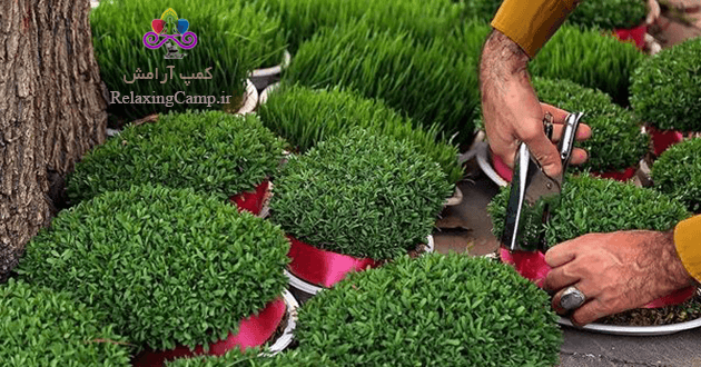 کی سبزه عید بکاریم